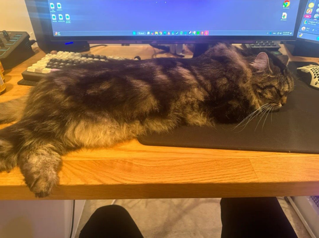 like father like daughter