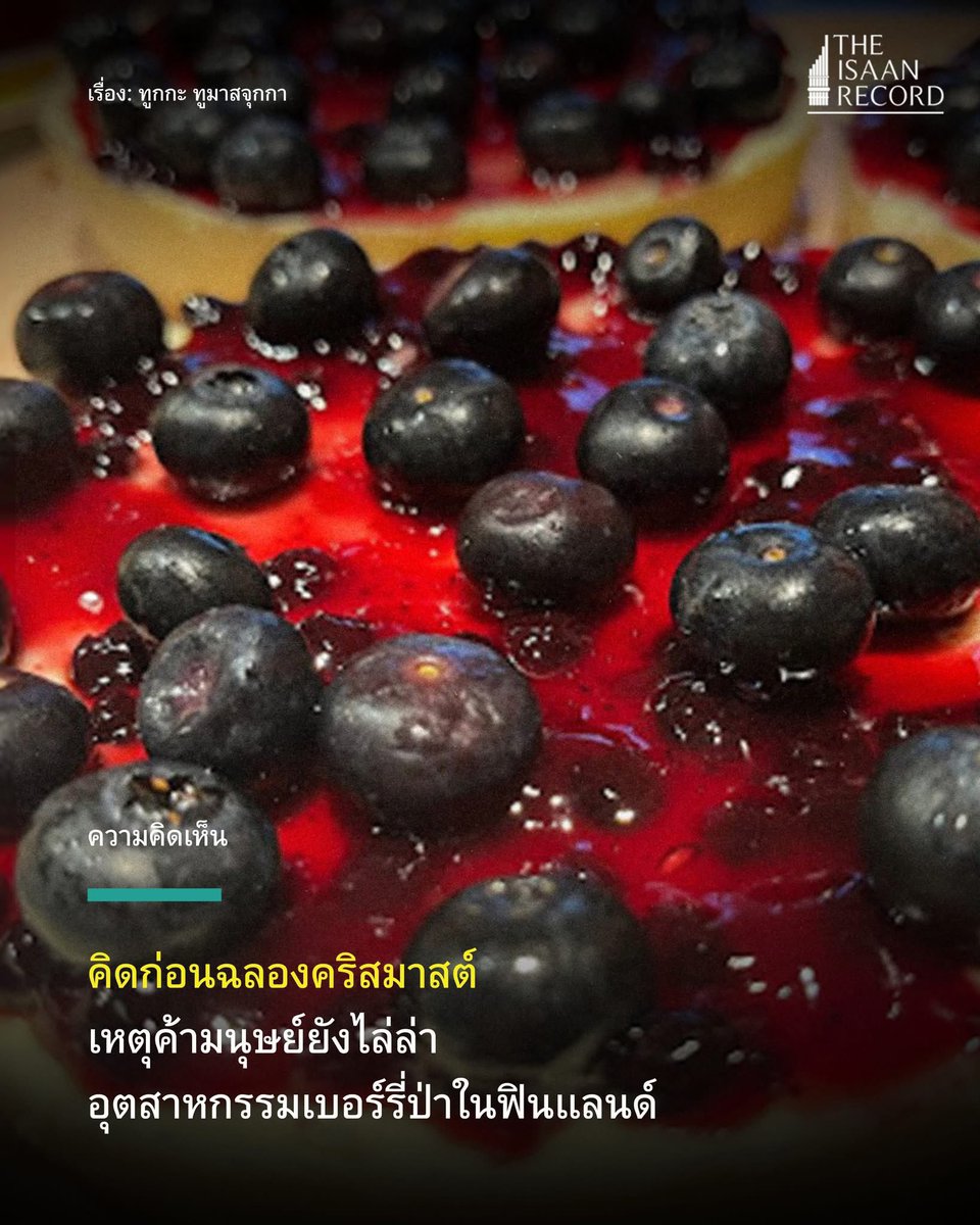 แม้ผู้เชี่ยวชาญชาวฟินแลนด์จะออกมาเตือนถึงความเสี่ยงของสภาพการทำงานของแรงงานต่างชาติที่มาเก็บเบอร์รี่ป่าในฟินแลนด์ แต่จะมีใครสนใจความเป็นไปของการค้ามนุษย์

เมื่อพวกเรากำลังจัดเตรียมขนมเพื่อต้อนรับเทศกาลคริสต์มาสที่ทำจากเบอร์รี่ป่า

อ่านเพิ่ม theisaanrecord.co/2025/12/22/hum…