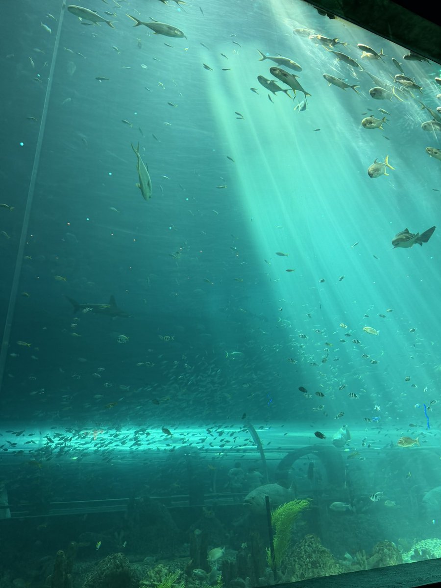 Keenan wen V15 Unsupervised 🗿🔋📐❇️ tweet media