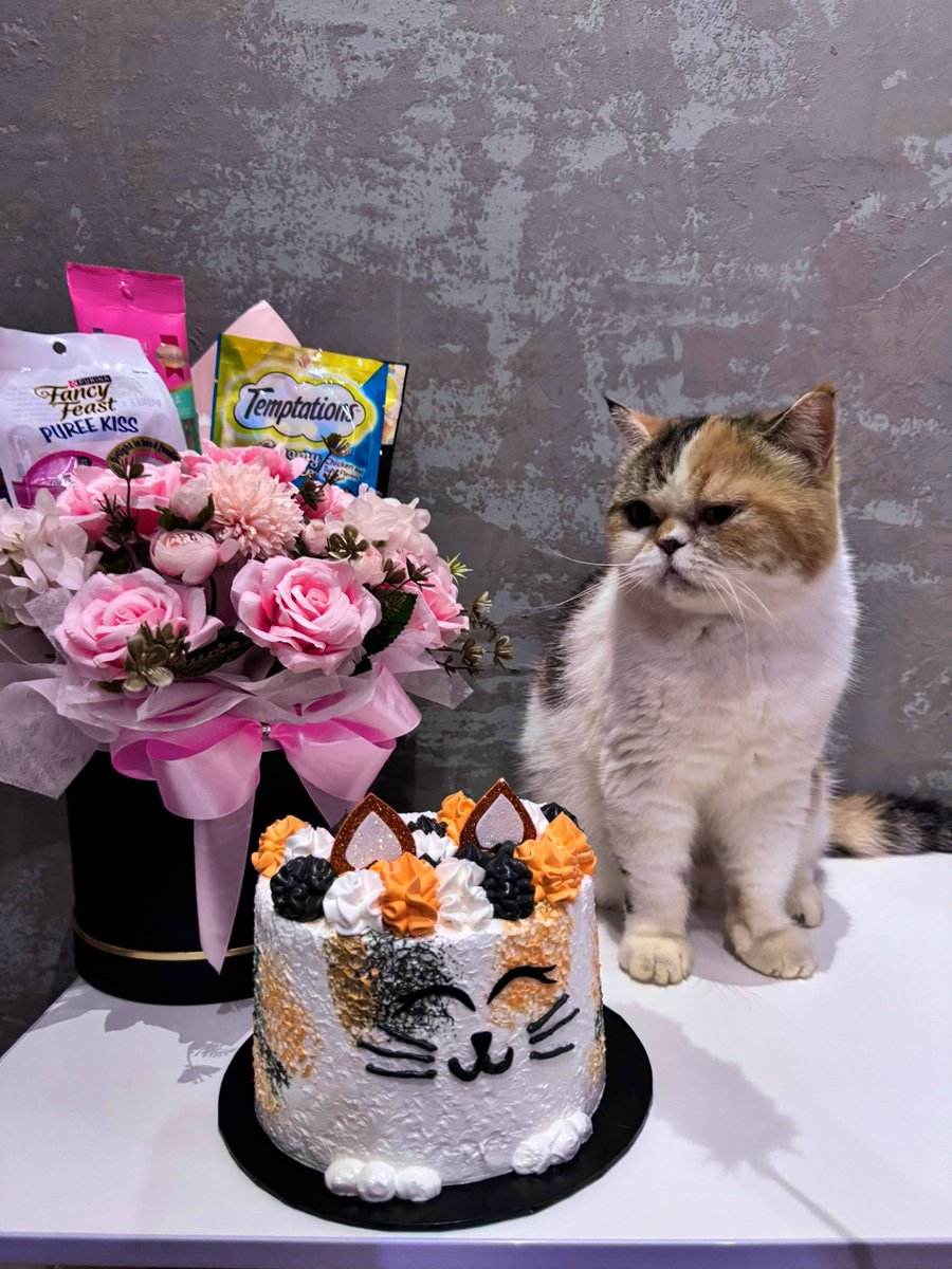 Happy 10th years Bulat

love you so much ❤️

Doakan bulat sihat2 je ya