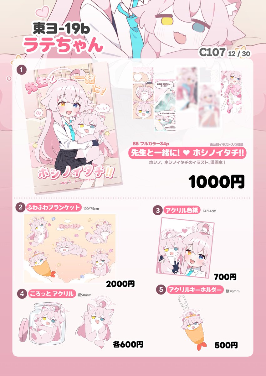 ラテさま専用ページꕀෆ¨ 楽らくマグネットカーテンLL | カー用品のセイワ