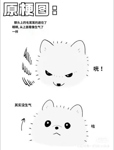 ぴょんたꕤ⭐︎ 髙𣘺ピョン太 (@pyonta) / Posts / X