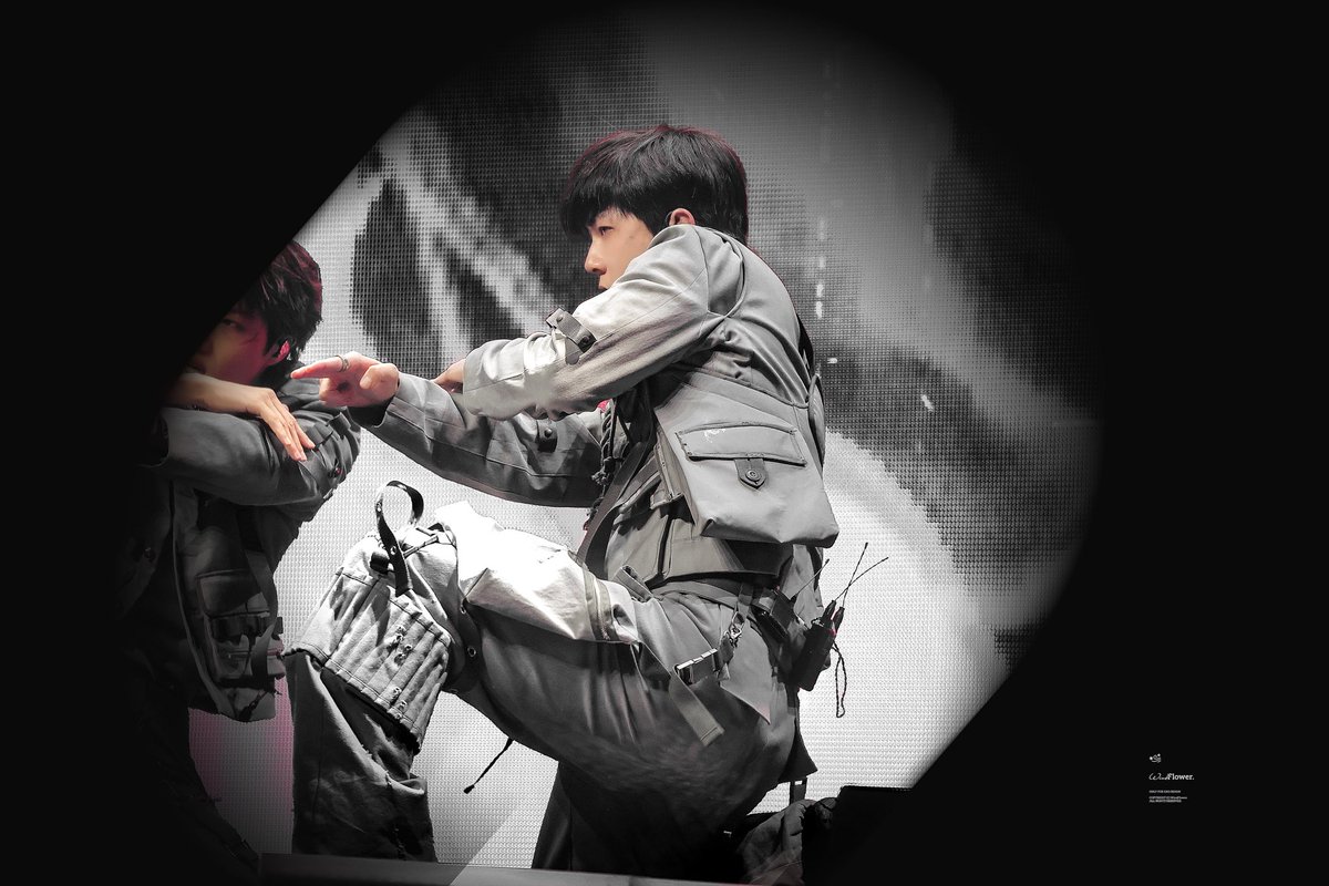 WindFlower tweet media