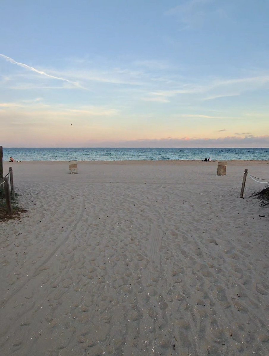 Emermuo's tweet image. GM 🌞 stay disciplined and results will follow

Can I get A GM back?