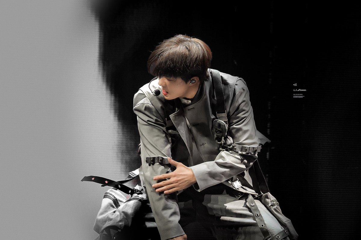 WindFlower tweet media