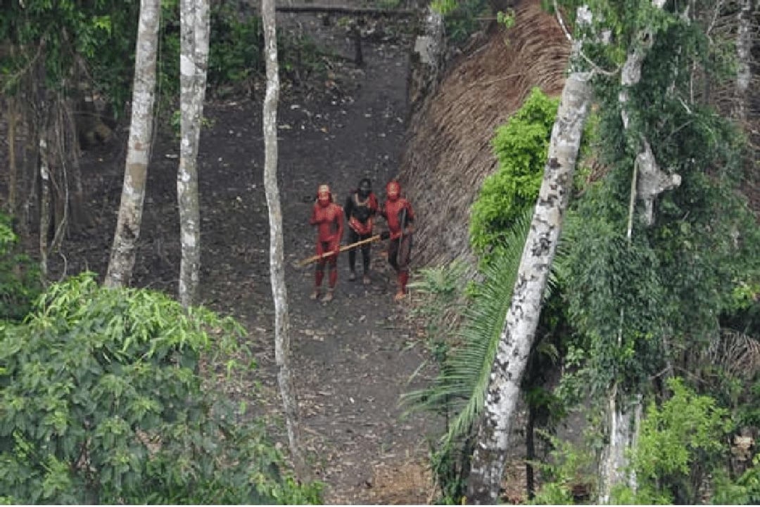 maniaUFO's tweet image. Tribes that have never had contact with civilization are being filmed by drones in the Amazon.📸📸📸