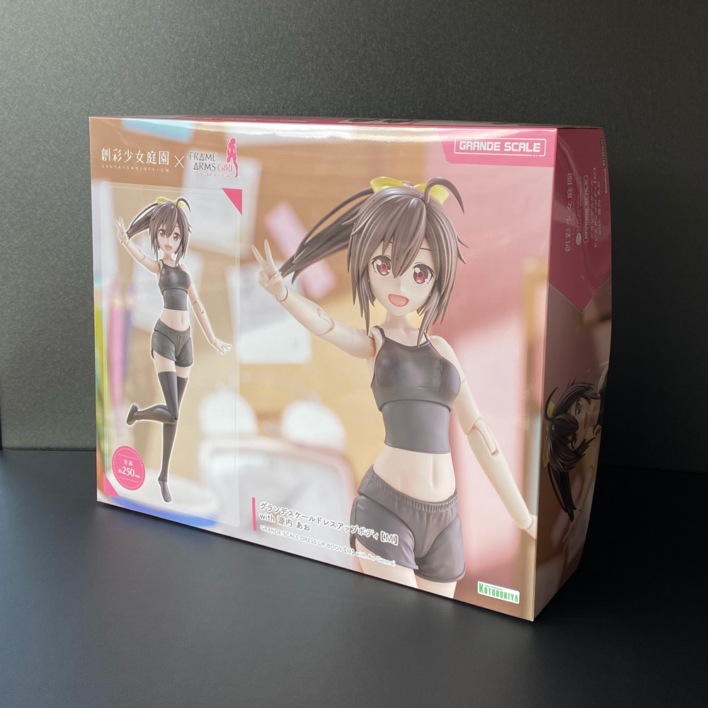 グランデスケールドレスアップボディ【M】with 源内 あおは≪12月24日