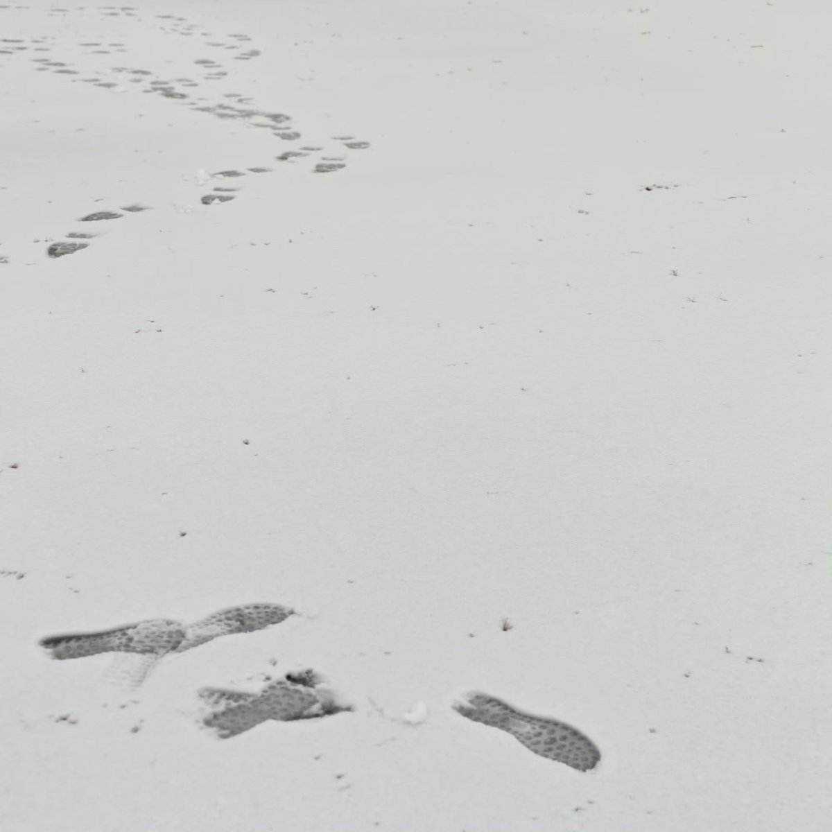 Actualización de Xiao Zhan en Weibo.
Nos comparte una selfie y unas fotos en la nieve. 

Xiao Zhan: “Hermoso ☃️”

1/2