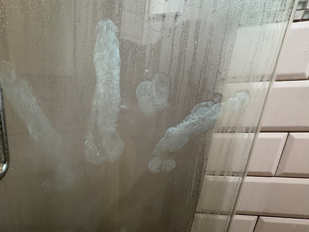 JJtohung's tweet photo. What would u do if i left this??
#bigprint #hung #hugecock #bigdick #shower #hungcock https://t.co/88JtVV9uSY