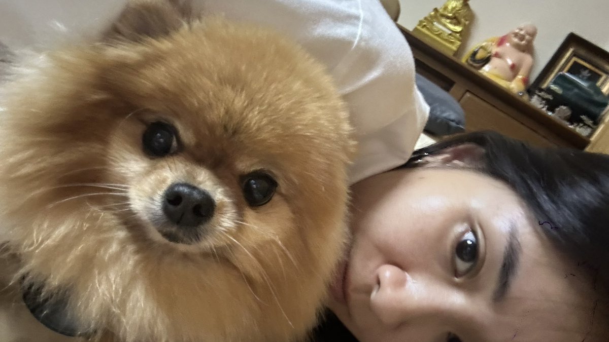 praewcher's tweet photo. How’s everyone doing? I’m currently busy filming a new movie and also fighting off influenza A. So whenever I have free time, I just rest and spend time by myself (do you believe now that I’m really an introvert? 🙈). Miss you all! please take good care of yourselves! https://t.co/1g4SwZZeb1