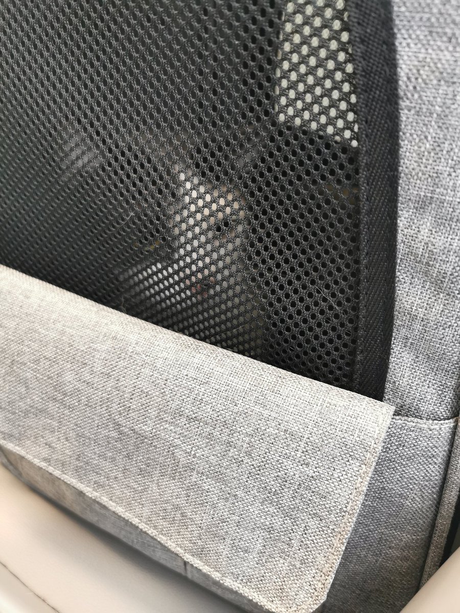 Czekamy z #Kropka u weta na pobranie krwi....