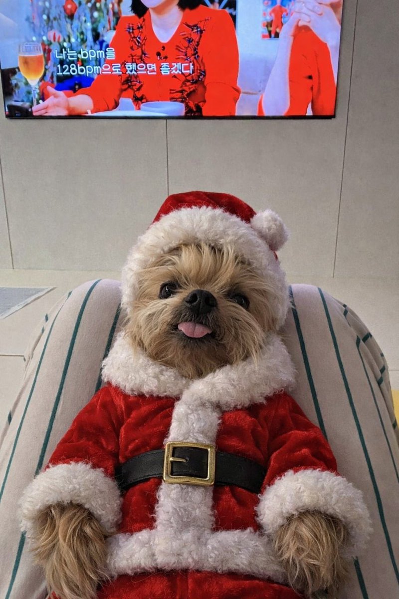 thief_jiwoo's tweet image. 회사 개발자분이 크리스마스라고 강강쥐냥냥이 산타옷 입히는 페이지 만들어 주셨는데 사내 게시판에 온갖 깜찍이들 사진 올라와서 광대 터지는 중ㅠㅠ
배포해도 된다구해서 사진만들기 링크 올려봅니다🐶😺

산타 사진만들기 : celimax-santa.co.kr