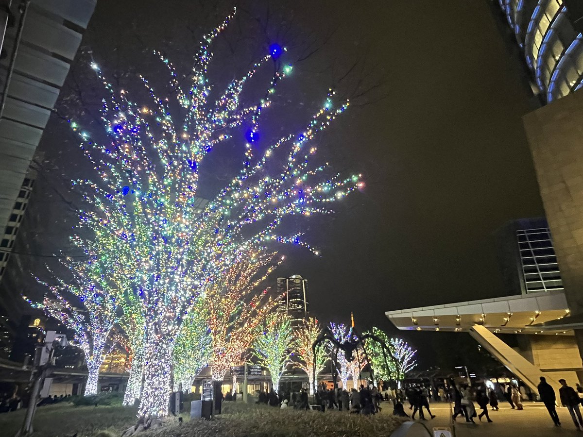 クリスマスイルミネーションがXで輝く冬の風物詩