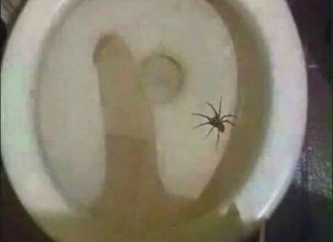 Saningo678's tweet image. Spider imenistua nikikojoa kidogo nikimbie