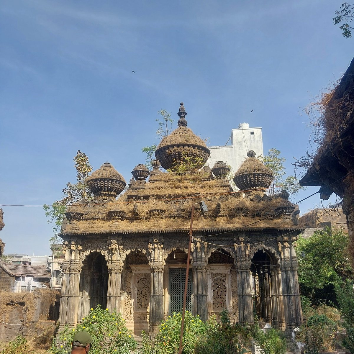 MaheshB23007204's tweet image. What about this? Photo clicked on December 21, 2025. In Junagadh.