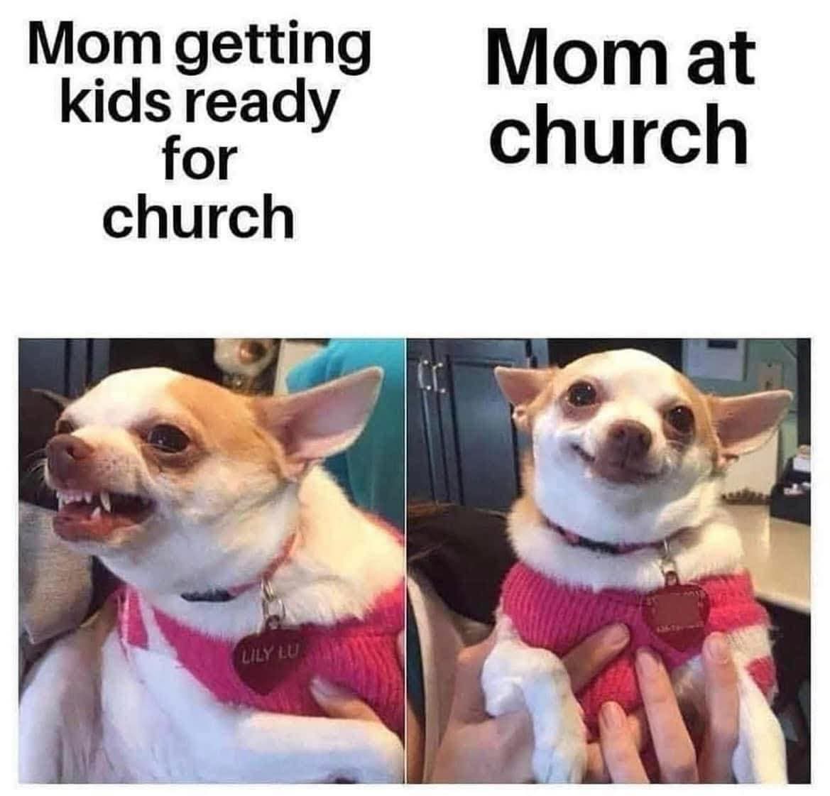 wealthyman🫂 (@seencantbeunsee) on Twitter photo 