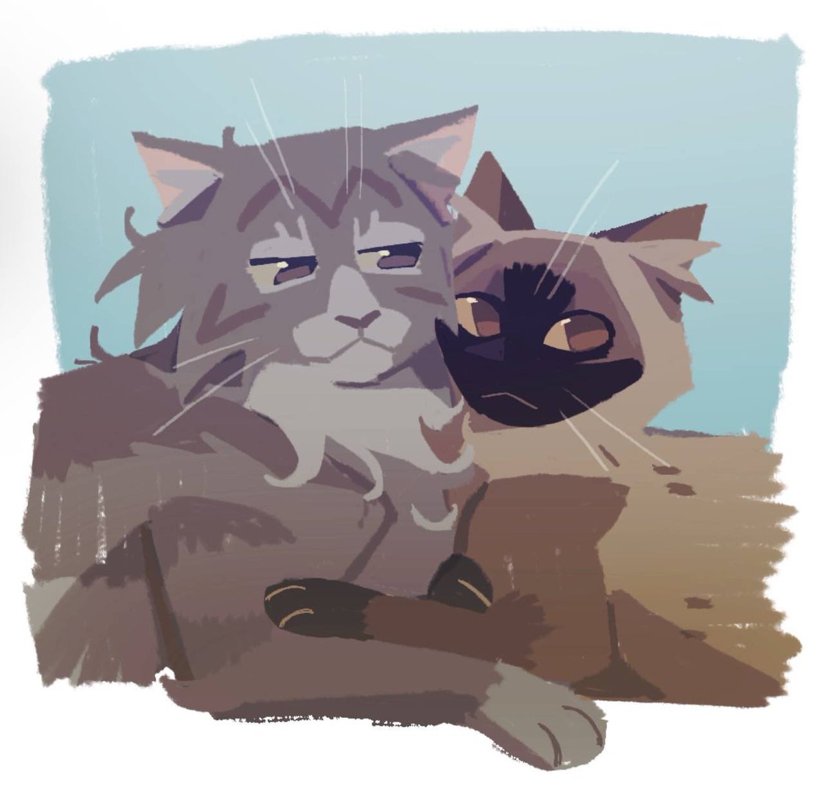 masha lyod tweet media