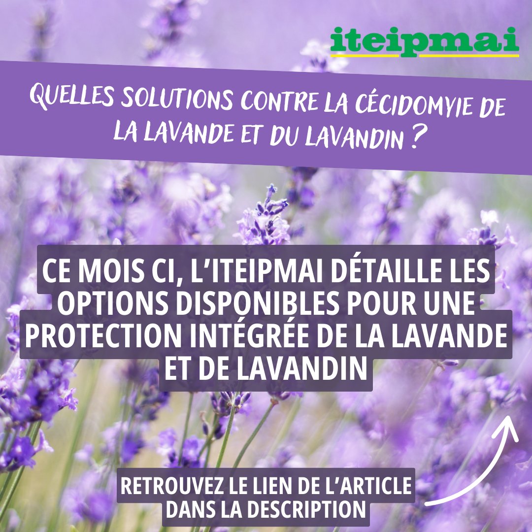 EcophytoPIC tweet media