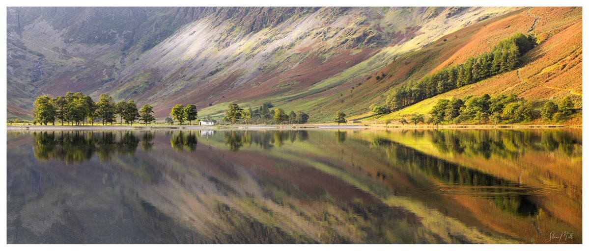 2025 Virtual Advent Calendar. 
Day 23: