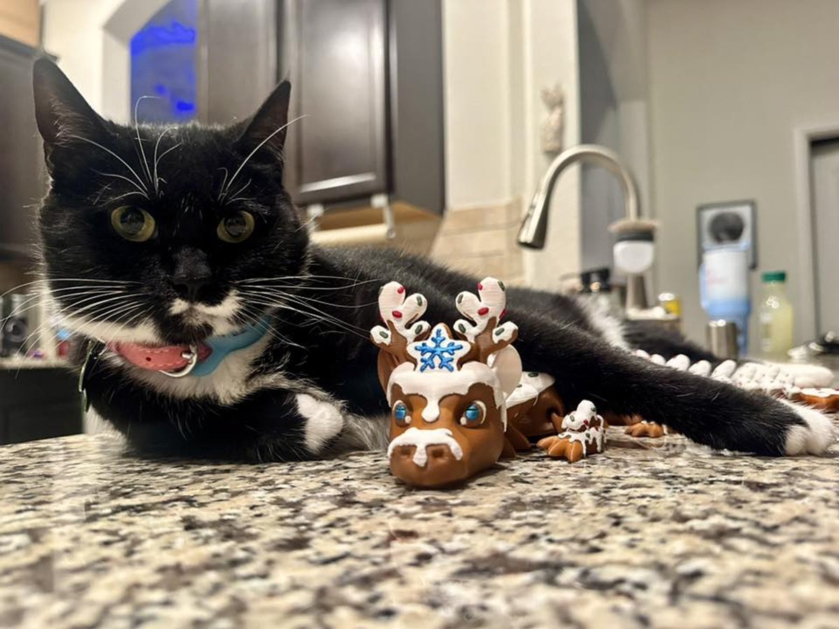 わぁ！@BambulabGlobalで、海外ユーザーさんたちの可愛いクリスマス3D