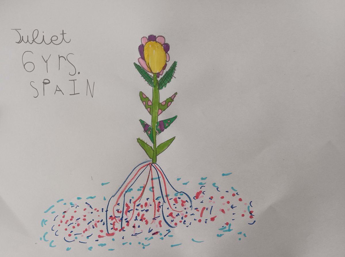 Root-Benefit COST ACTION tweet media