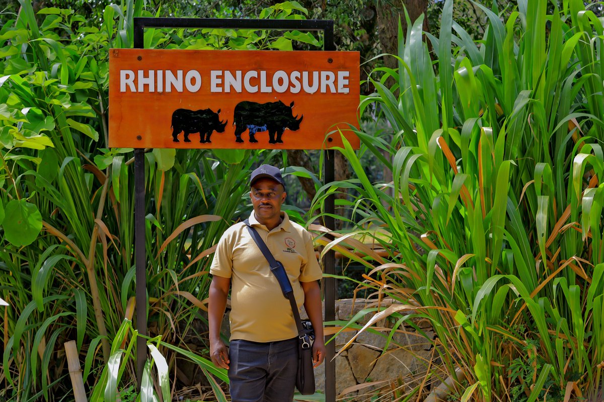 Nazah Events Tours and Travel tweet media