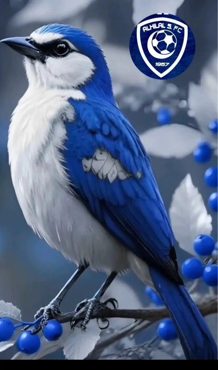 أسأل الله الذي بيده ملكوت كل شيء … أن ينزل محبتكم في السماء والأرض … فيقول سبحانه : إني أحببت فلانًا باسم كل واحد فيكم فأحبه …  
يارب محبة لاتزول … ورزقًا مباركًا … وسعادةً دائمةً …
وبشارةً خاصةً … باسم كل واحد منكم …
صباح الخير والمحبة والرضا