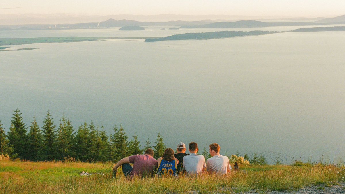 eamonsphotoss's tweet image. art not made with ai