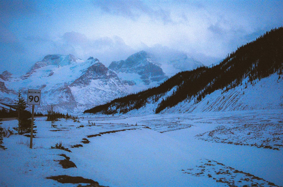 eamonsphotoss's tweet image. art not made with ai