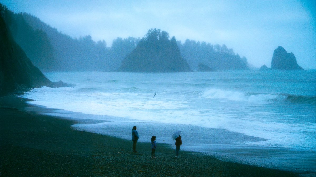 eamonsphotoss's tweet image. art not made with ai