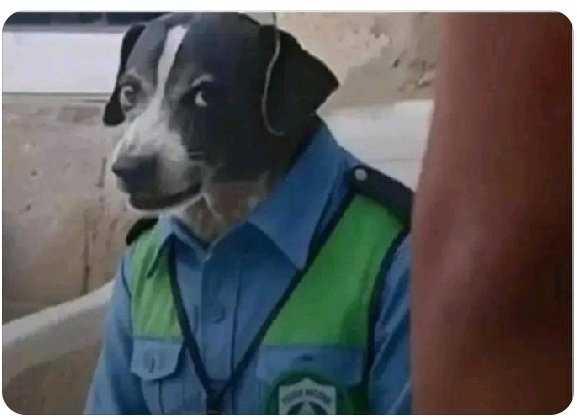 CeaserOmega's tweet image. Village relatives now think everyone from town has money😏