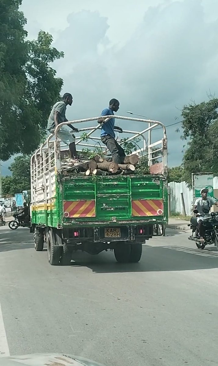 KAI LEONARD tweet media