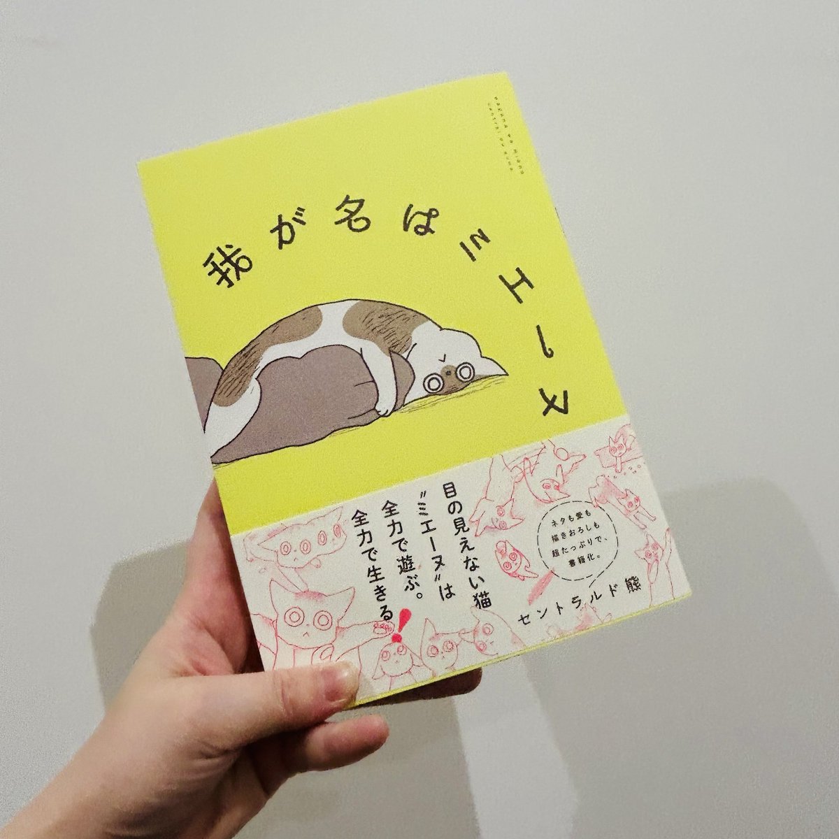 我が名はミエーヌ』12/5発売🔔特典情報は固定ポストに (@waganahamienu
