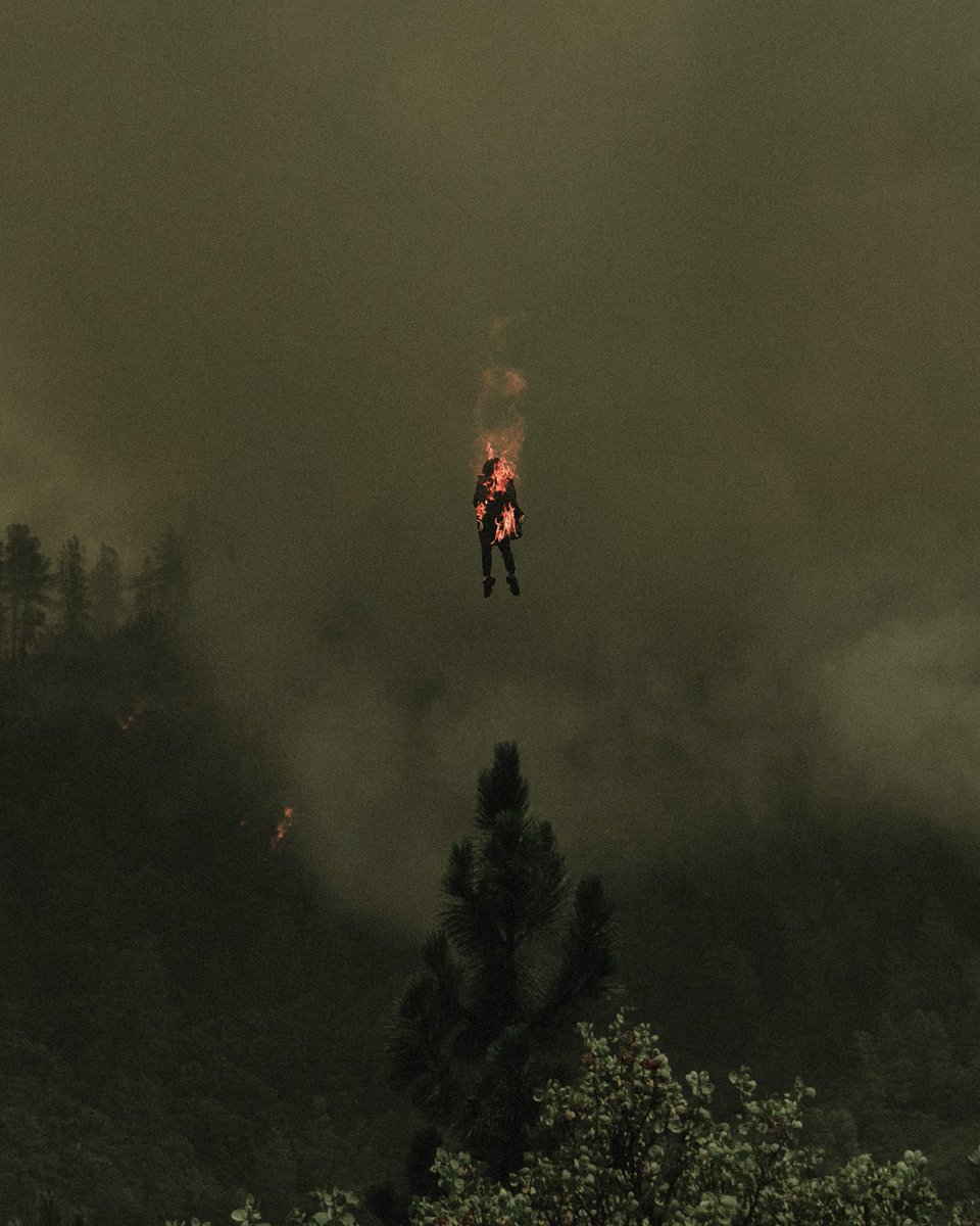 This picture is actually insane