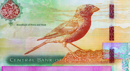 صندوق النقد: الدين العام في الأردن مستدام والقدرة على السداد كافية 