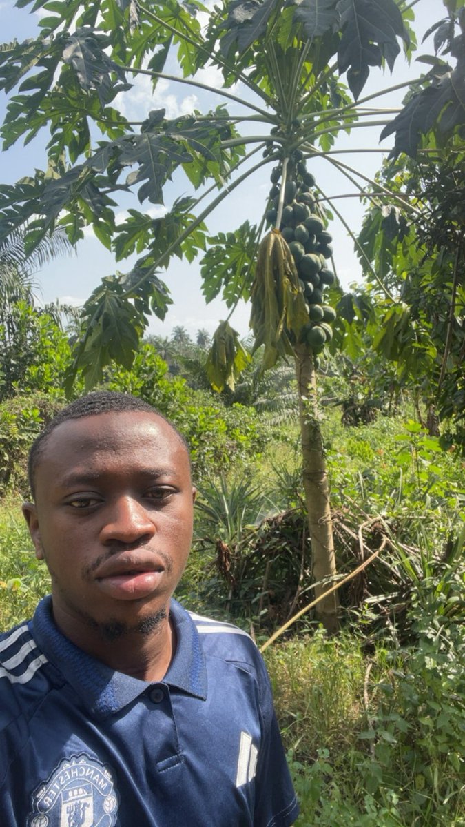 BigDowat's tweet image. I went to the farm yesterday