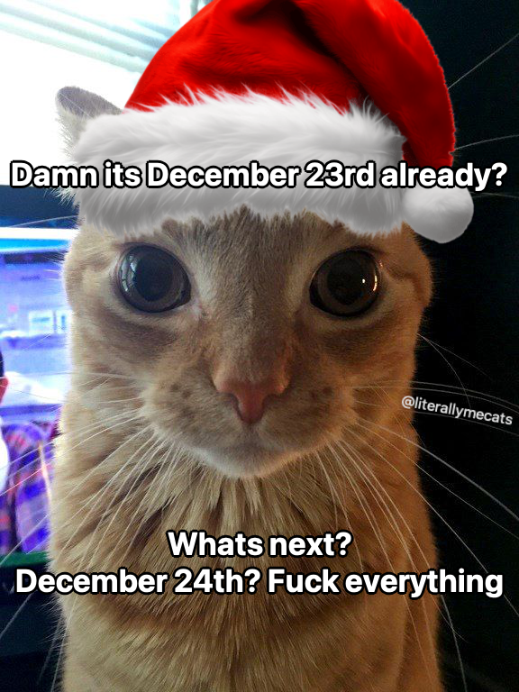 literallymecats's tweet image. 