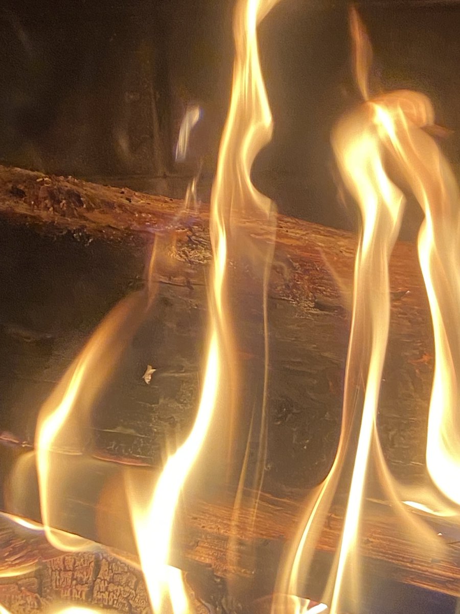 Perception50668's tweet image. 