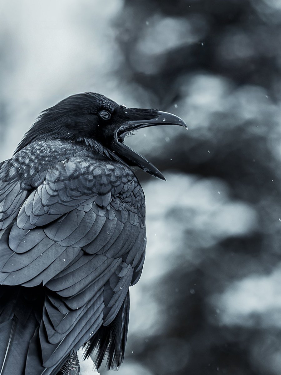 Intotheframes's tweet image. خودتون موزیک گات روش پلی کنید لطفا