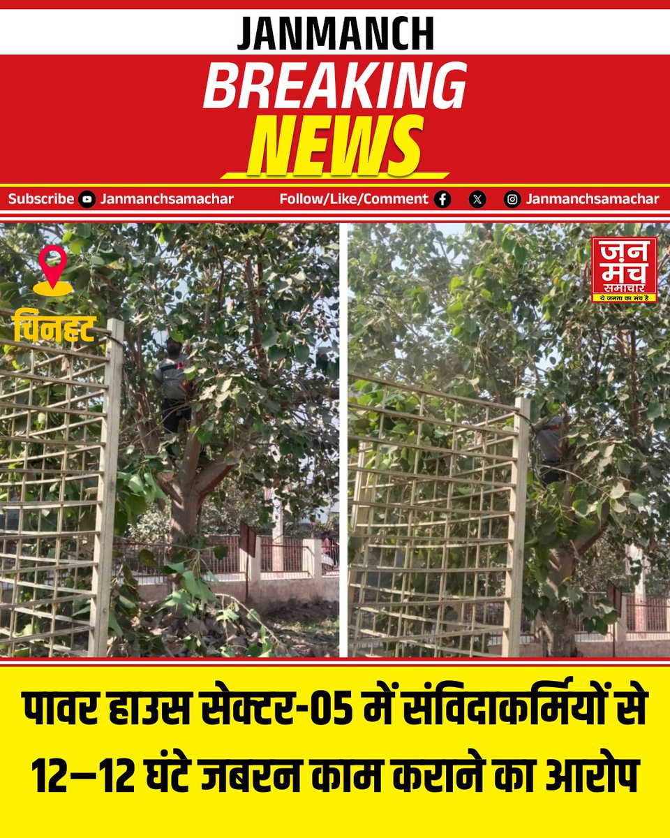 janmanchsmachar's tweet photo. चिनहट डिवीजन के पावर हाउस सेक्टर05 में संविदाकर्मियों से 12 12 घंटे जबरन काम कराने का आरोप  
पेड़ कटाई छटाई का टेंडर हर साल होने के बावजूद काम संविदाकर्मियों से लिया जा रहा 
सूत्रों के मुताबिक टेंडर की रकम हड़पने का खेल 
सर्द रातों में संविदाकर्मी शोषण का शिकार 
#Lucknow #Chinhat https://t.co/378WKYD0RC