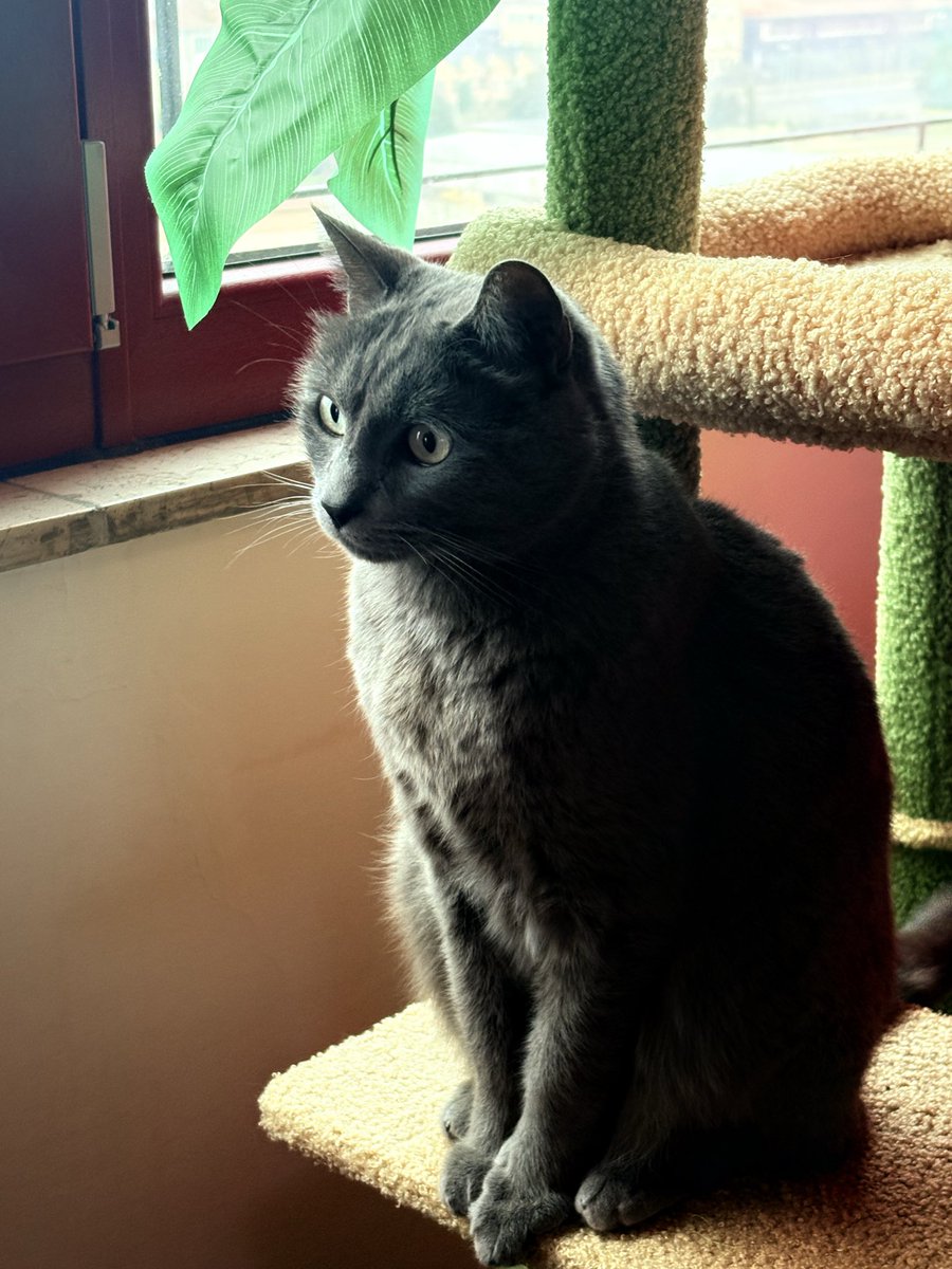 ericasnothere's tweet image. Il principino del mio cuore ❤️