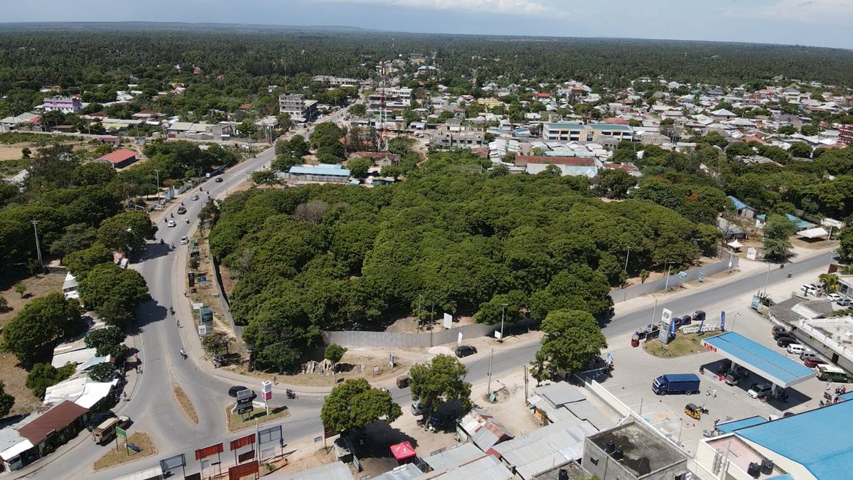 Dr. Peter Kyalo tweet media