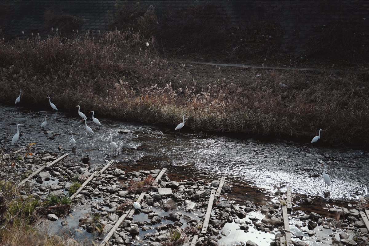 hybs + (@hybspro) on Twitter photo 