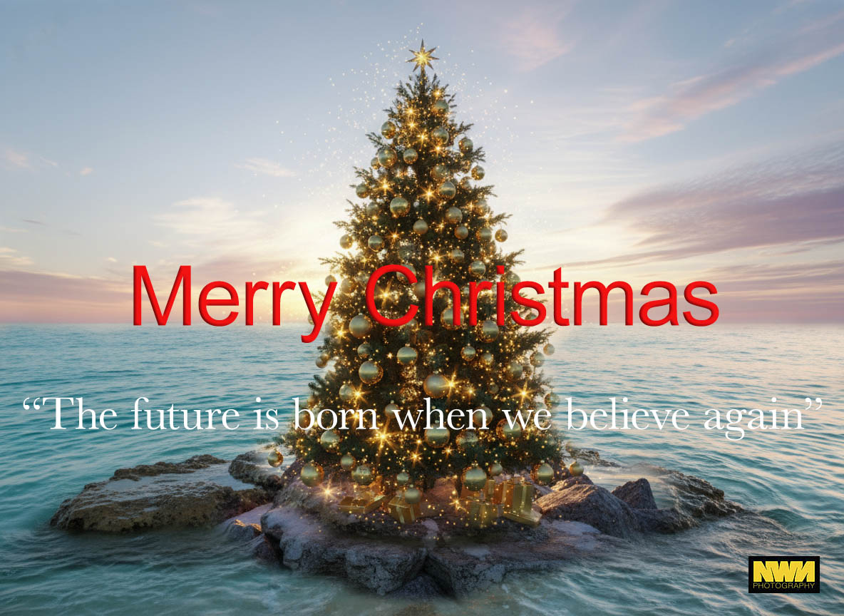 NosWhyNot? tweet media