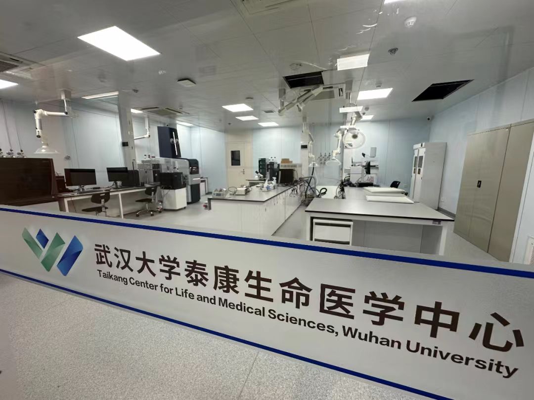 OpticsValleyCN's tweet image. Researchers at #WuhanUniversity have developed "mini #organs" with a #chip! 🧬

By controlling temperature, humidity, nutrients, and signals, organoid chips can induce heart, liver and other tissues in vitro, opening new paths for drug testing and disease research. #OVCInnovation
