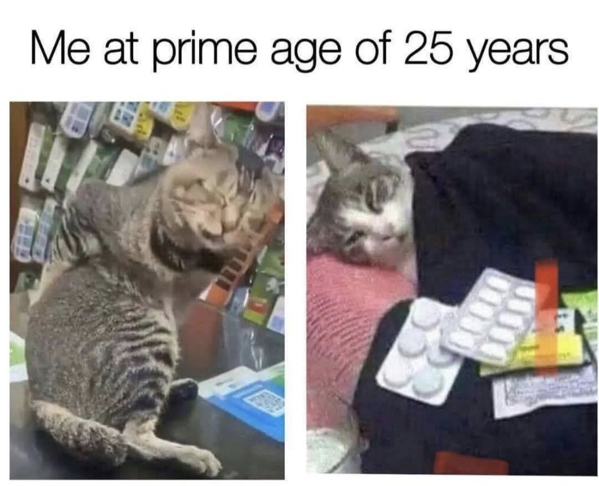 ADHDForReal's tweet image. 