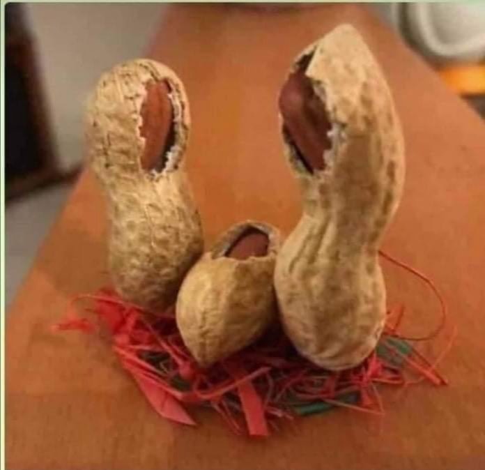 gjonitz's tweet image. Merry Christmas 🎄