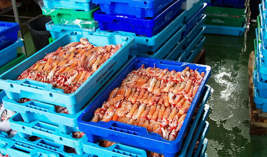 #AperturasyCierres/ Facope (<a href="/FACOPEAndalucia/">Federación Andaluza de Cofradías de Pescadores</a> ) critica el cierre de la pesquería de cigala "en un momento especialmente sensible para la actividad económica del sector" 
buff.ly/qIODEwT