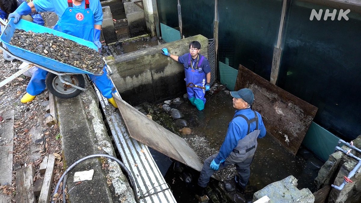 ふろぐ (@furogu_channel) / Posts / X