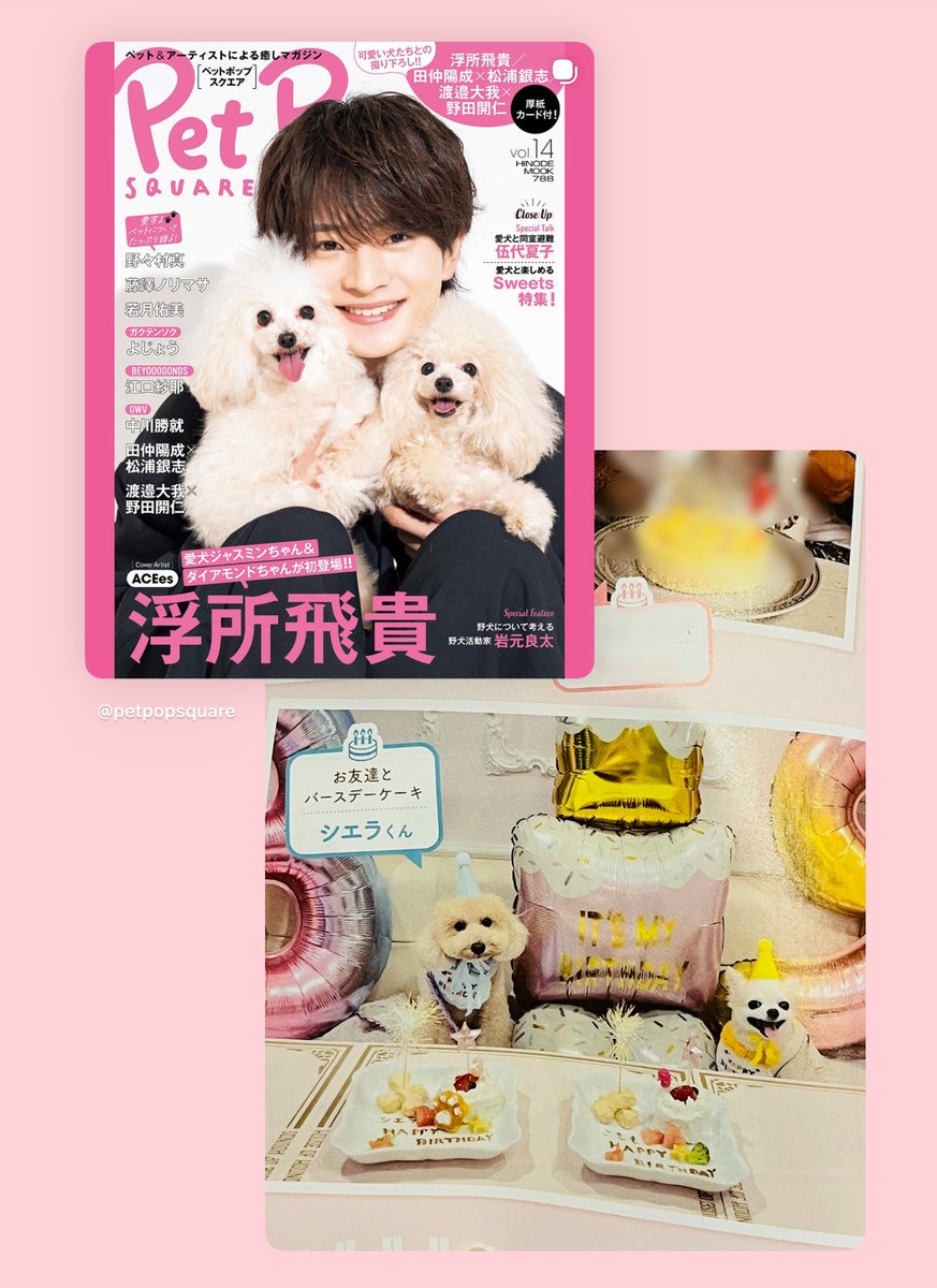 トイプードルのシエラ (@Sierra891158492) / Posts / X